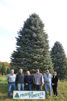 2021 Christmas tree donated by Musser with Committee 
