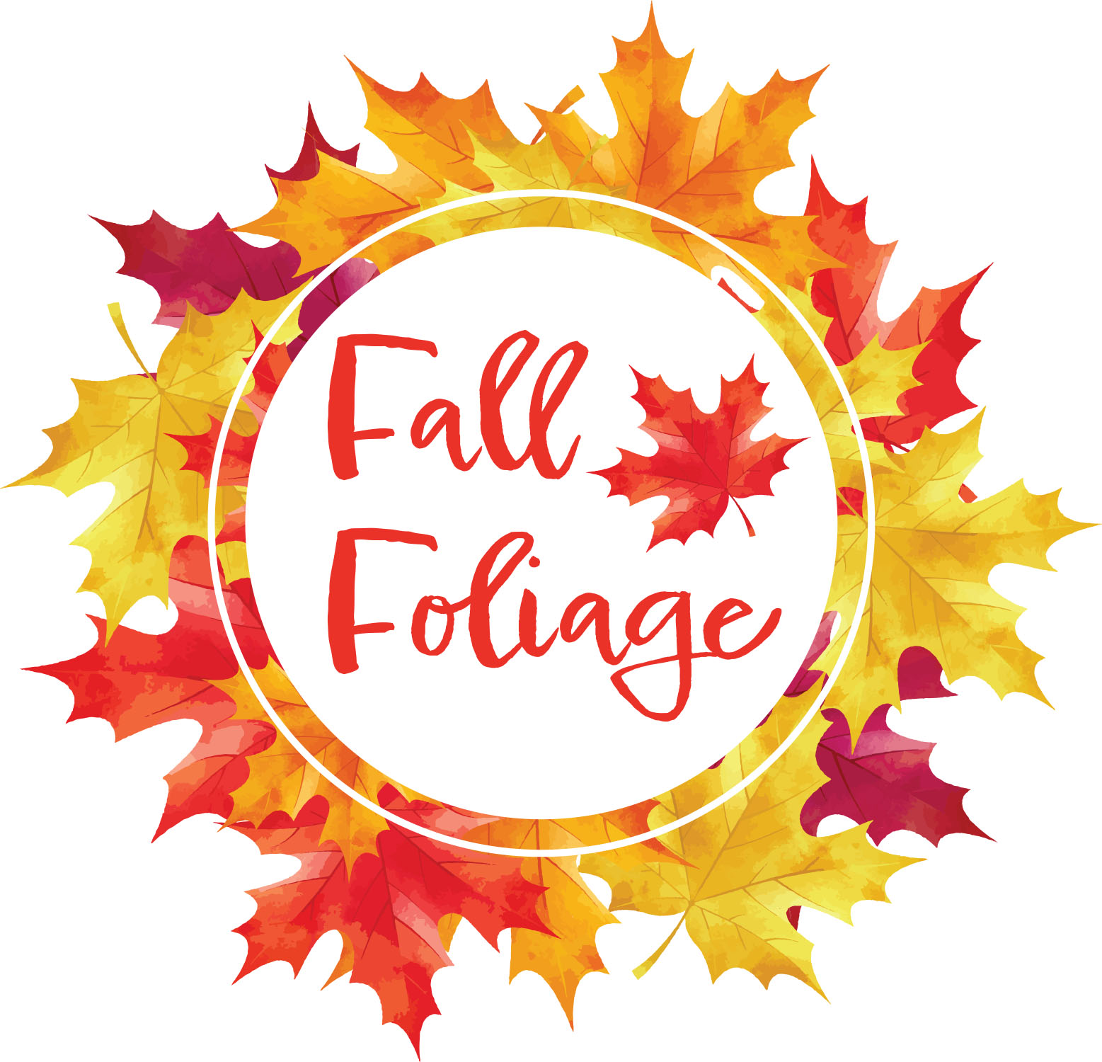 Fall Foliage Circle